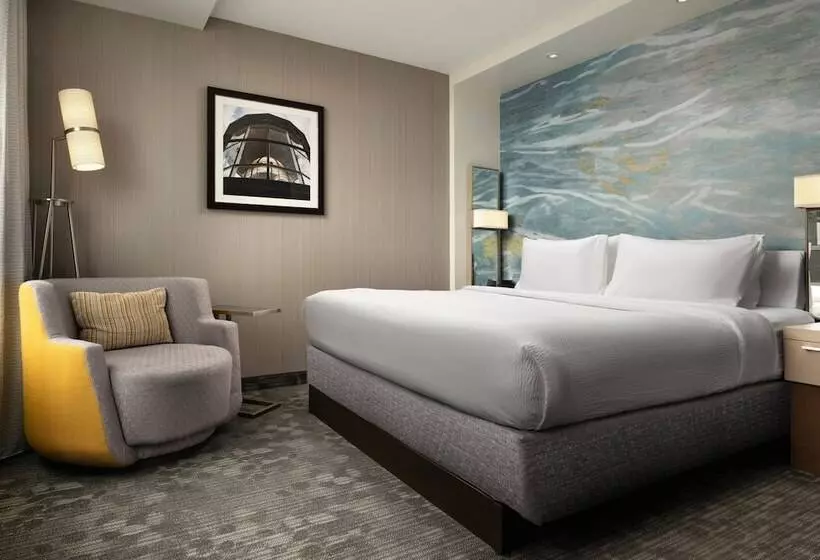 景色の見えるデラックスルーム, Courtyard By Marriott Erie Bayfront
