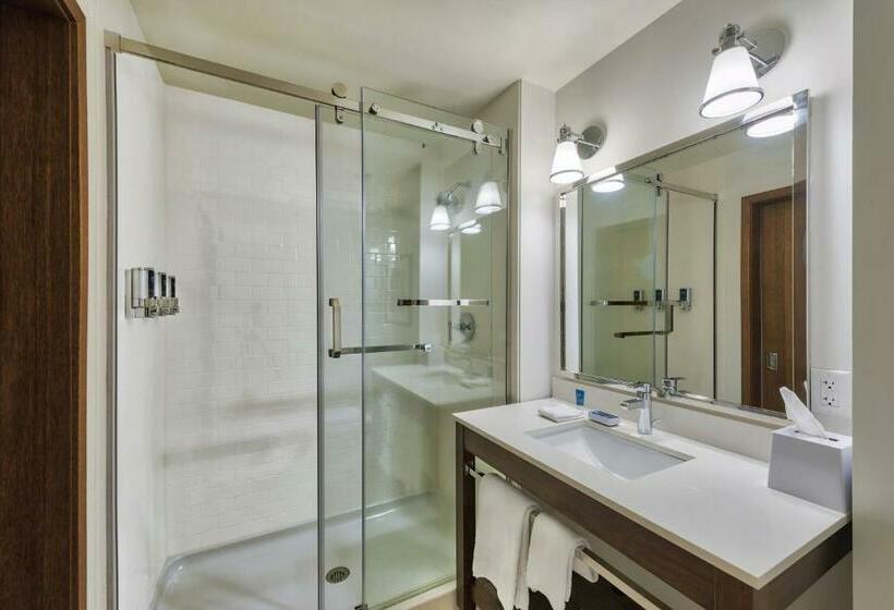 高级大房间, Four Points By Sheraton Houston Energy Corridor