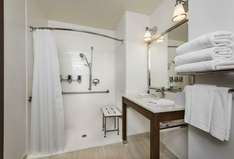 带大床的标准间, Four Points By Sheraton Houston Energy Corridor