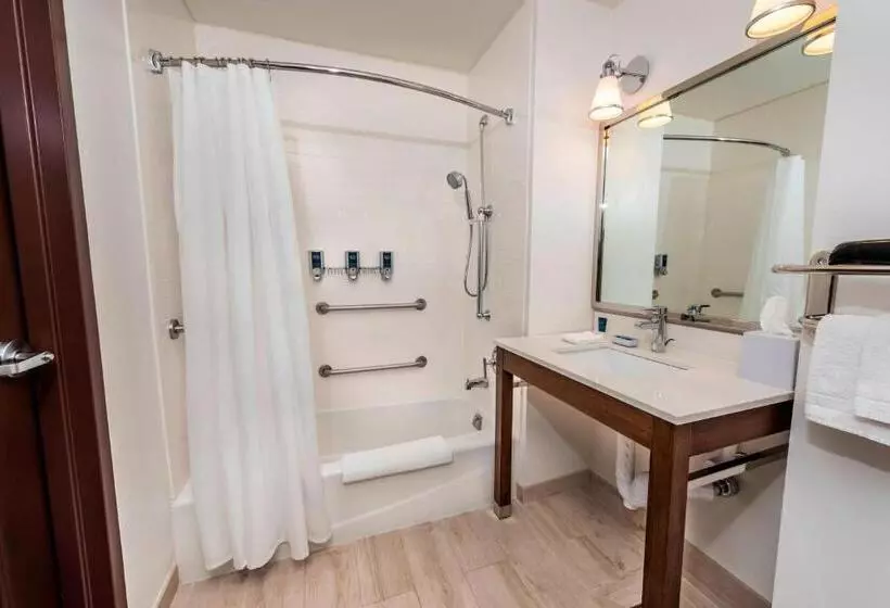 身障者適用キングサイズベッドルーム, Four Points By Sheraton Houston Energy Corridor