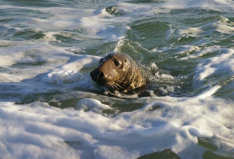 غرفة قياسية مطلّة علي البحر, Helgoländer Klassik
