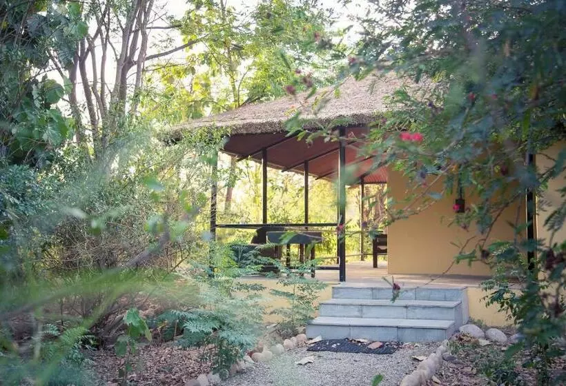 スタンダードルーム, Jim S Jungle Retreat