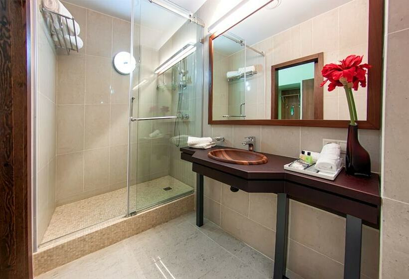 اتاق استاندارد یک نفره, Olympik