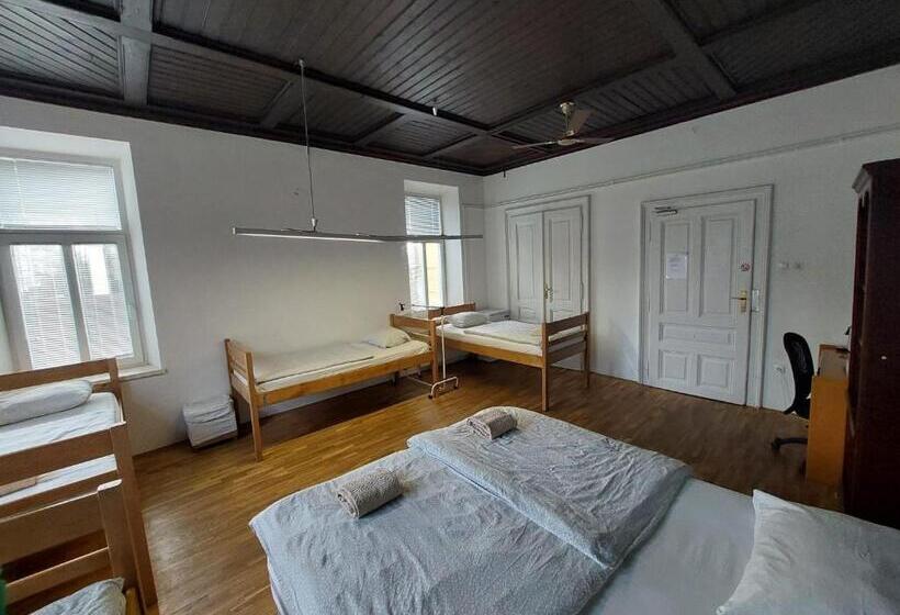 اتاق خانوادگی, The Villa, Ljubljana City Center