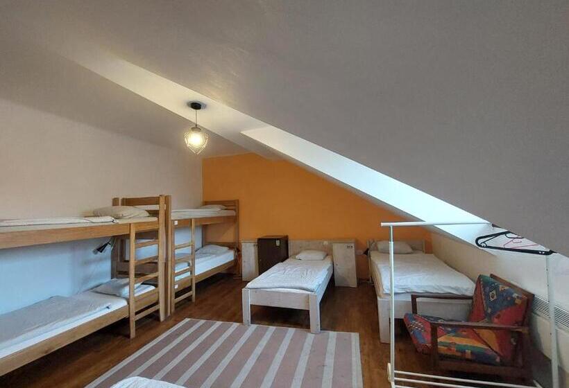 اتاق خانوادگی با سرویس بهداشتی مشترک, The Villa, Ljubljana City Center