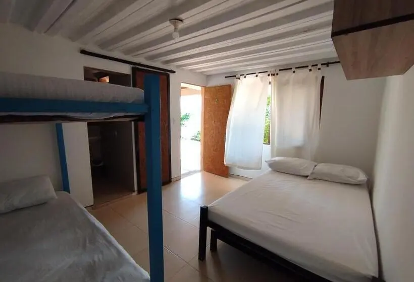 バスルーム共同エコノミー4人部屋, Mountain View Hostel