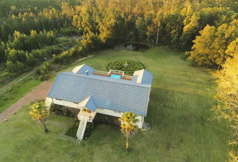 带大床的行政房间, Edenbrook Country Manor