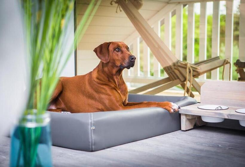 غرفة قياسية, Bude54