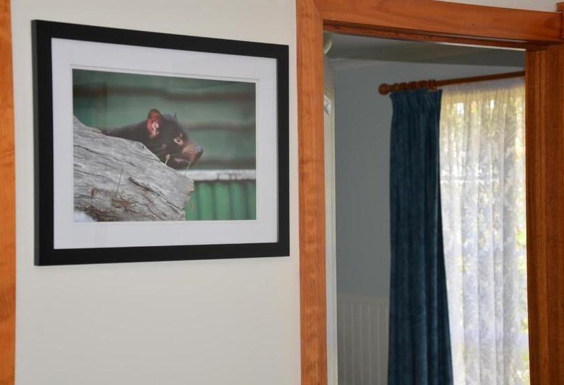 דירת שני חדרים, Castaway Holiday Apartments