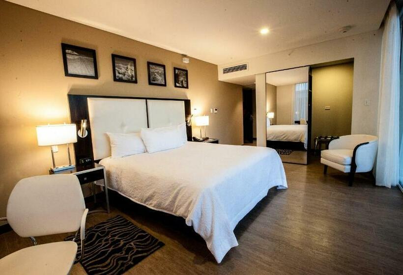 اتاق استاندارد با تخت بزرگ, Hampton By Hilton Santa Cruz/equipetrol, Bolivia