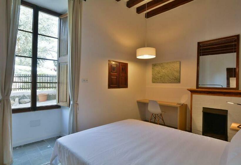 スタンダードルーム, Turixant