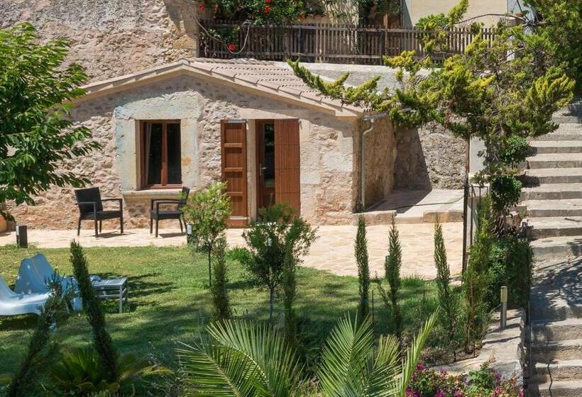 スーペリアールーム, Turixant