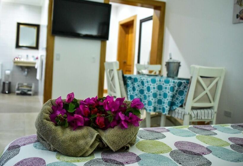 استودیوی استاندارد, Los Flamencos Aparthotel Beach Club