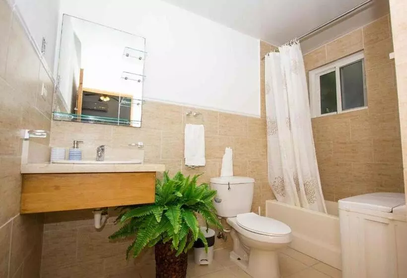 استودیوی استاندارد, Los Flamencos Aparthotel Beach Club