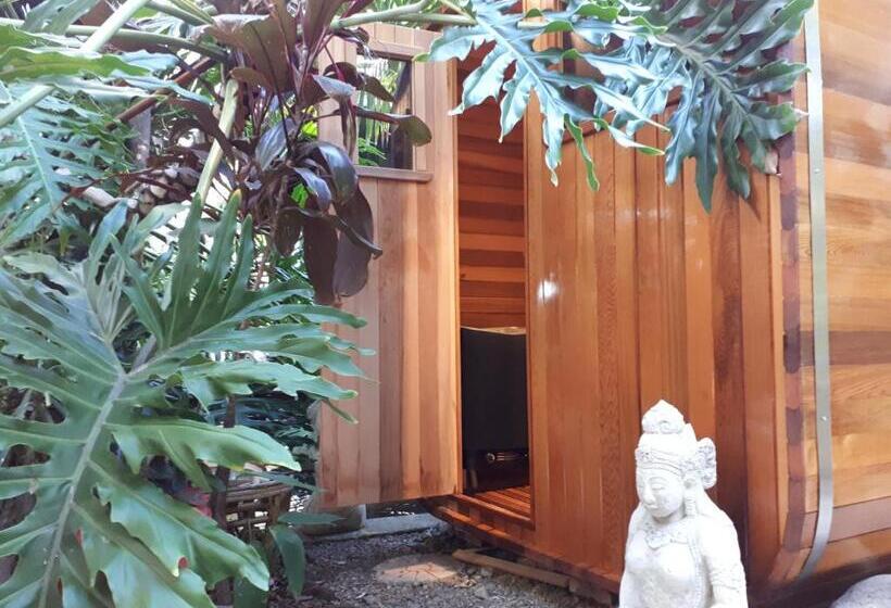 수피리어 룸, Alaya Escape