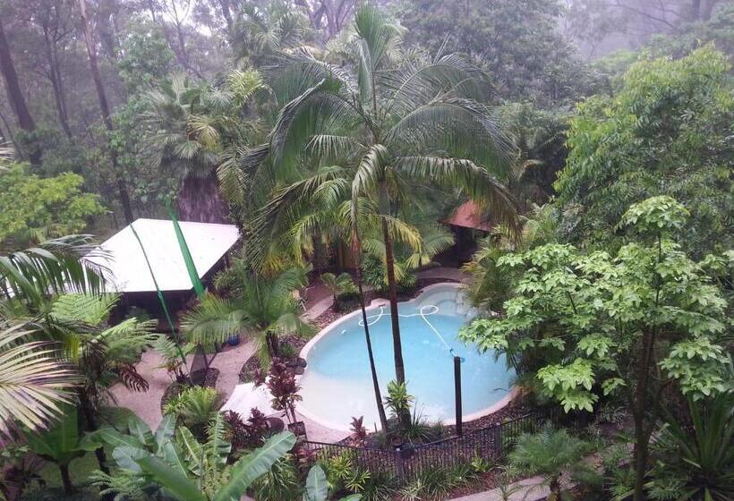 수피리어 룸, Alaya Escape