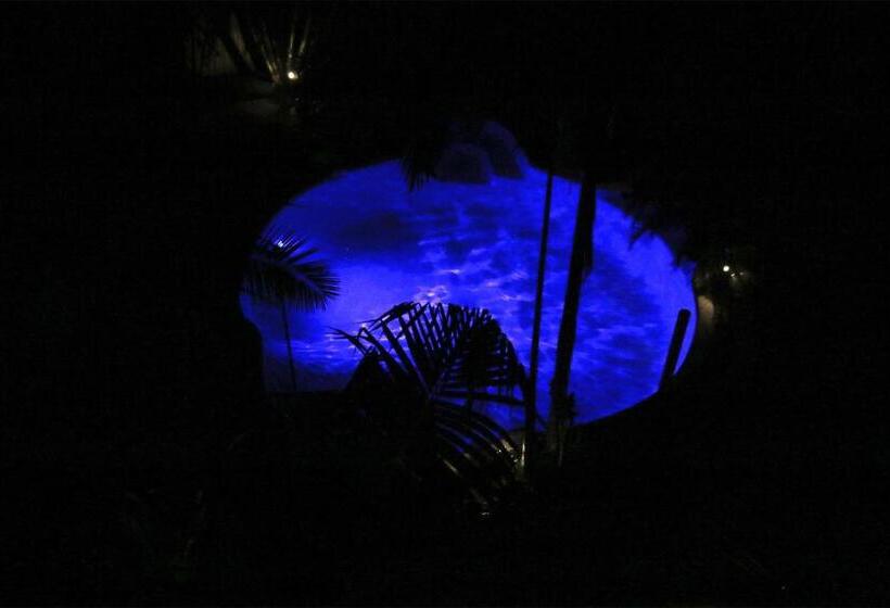 이그제큐티브 룸, Alaya Escape