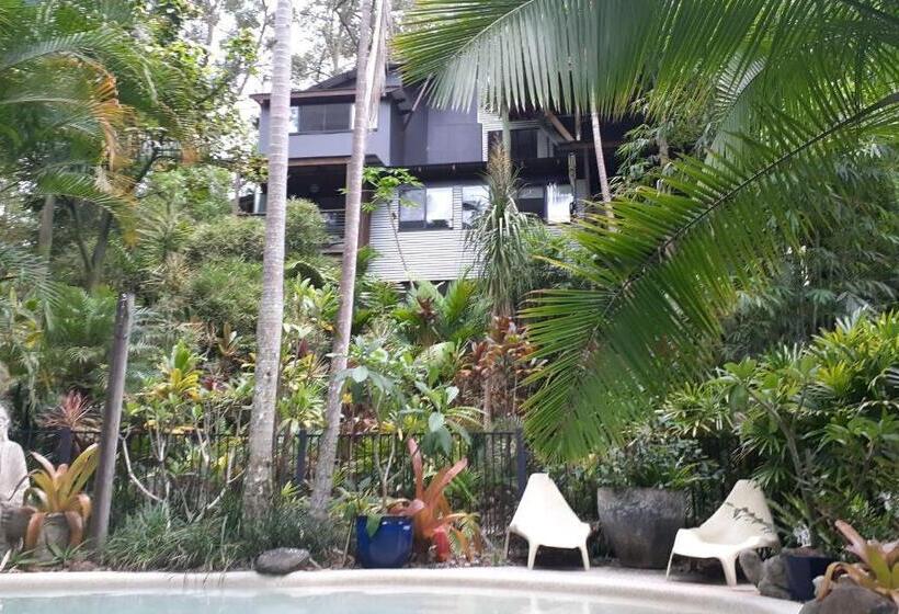 수피리어 룸, Alaya Escape