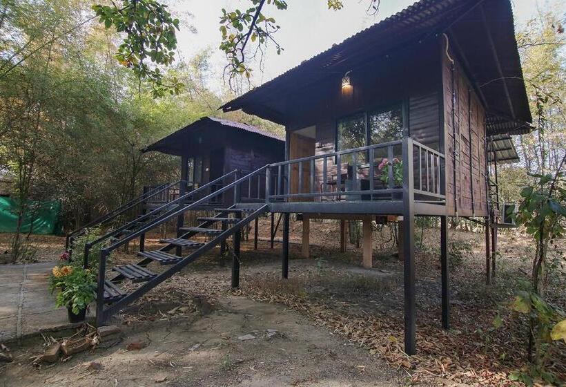 Люкс Повышенной Комфортности, Pench Wilderness Camp Resort