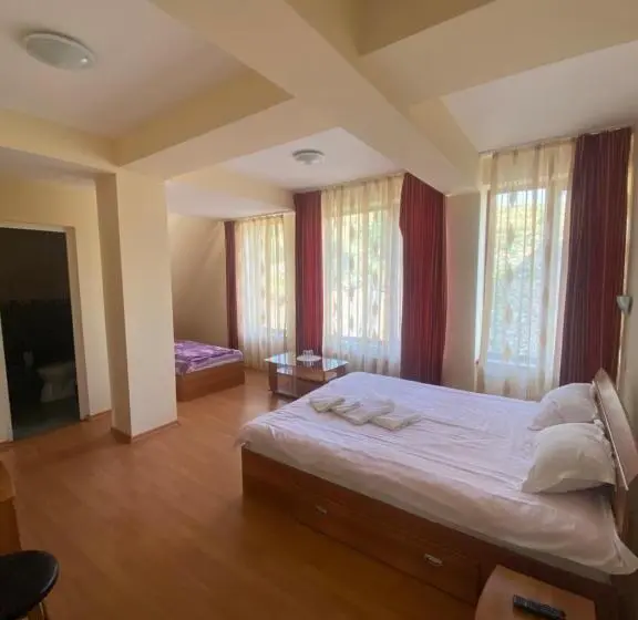 Comfort Kolmen Hengen Huone, Pensiunea Zimbru