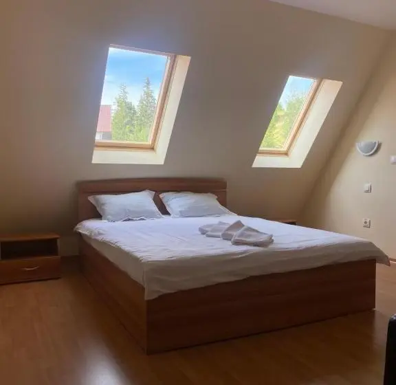 Comfort Kolmen Hengen Huone, Pensiunea Zimbru