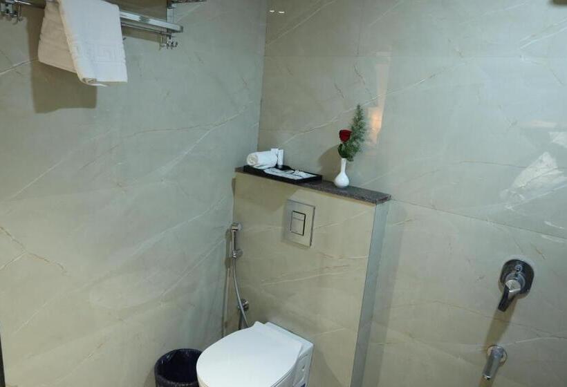 غرفة قياسية فردية, Sri Sri Sri Excellency