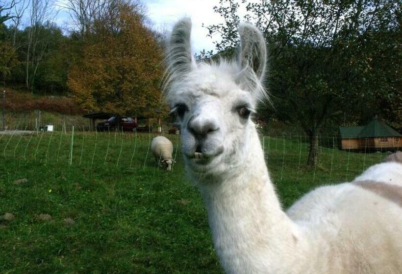 غرفة عائلية, Cabane Dans Les Arbres Avec Terrasse Et Coin Barbecue, Idéale Pour Des Séjours En Pleine Nature   Fr