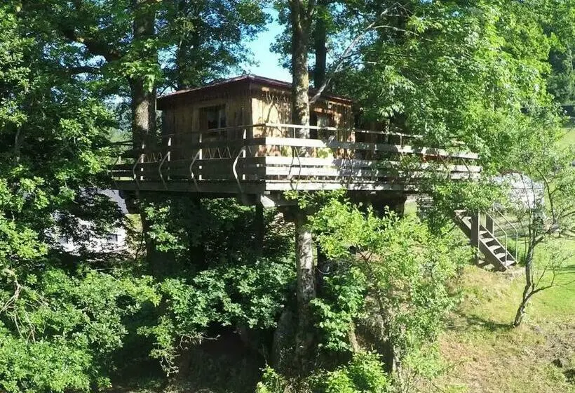 ファミリールーム, Cabane Dans Les Arbres Avec Terrasse Et Coin Barbecue, Idéale Pour Des Séjours En Pleine Nature   Fr