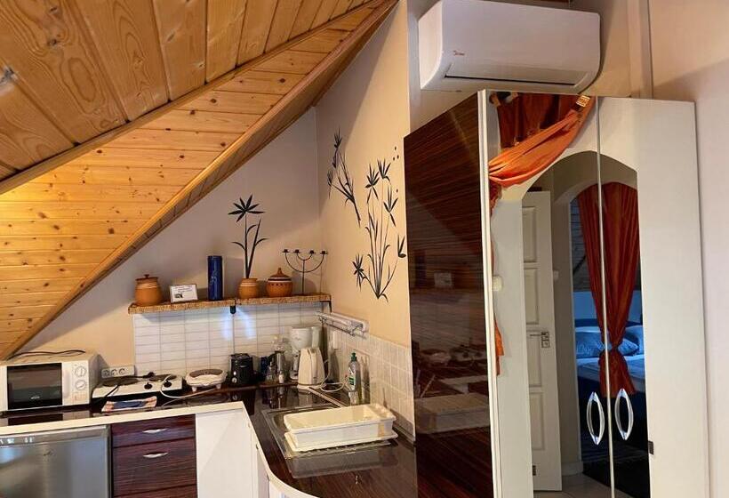 آپارتمان 1 خوابه, Villa éden