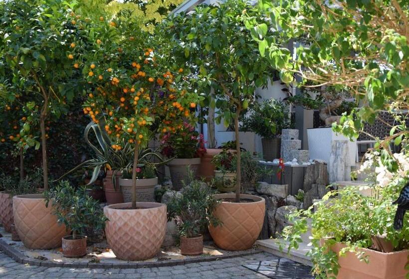 آپارتمان 2 خوابه, Villa éden