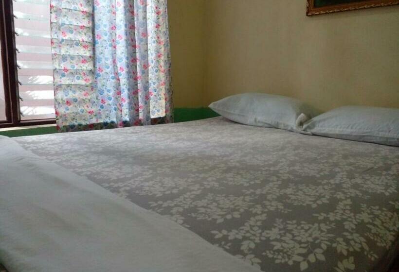 חדר אקונומי, Dorothy Hostel Arenal