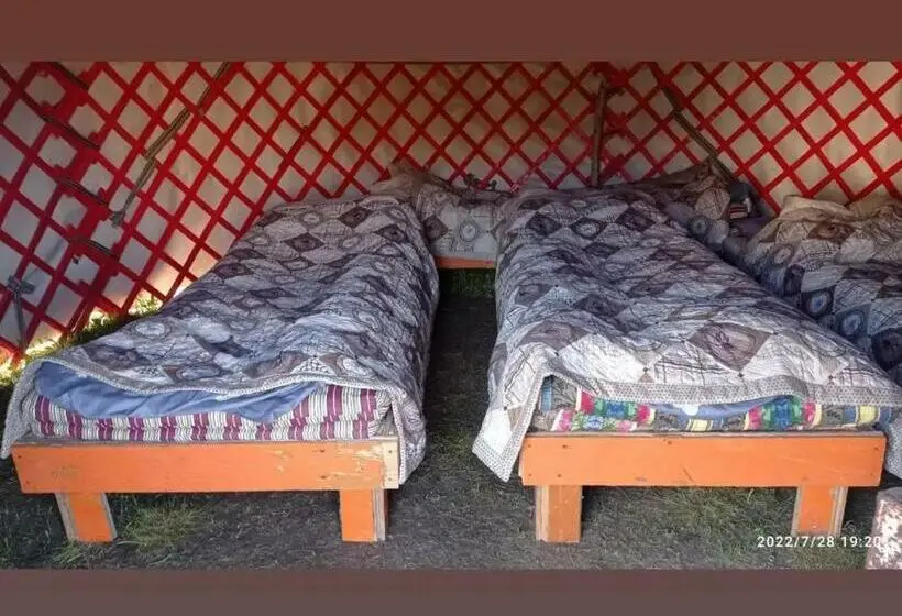 تختخواب در اتاق مشترک, Yurt Camp Visit Kol Suu