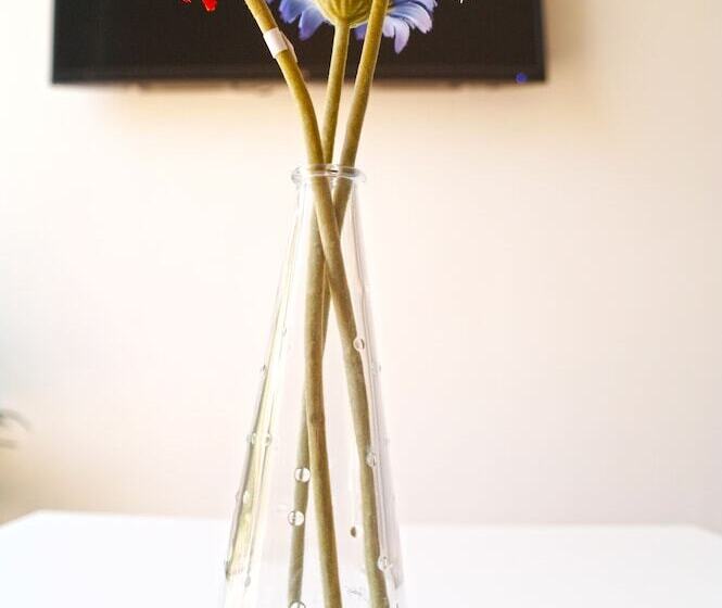 شقة غرفتين, Down Town