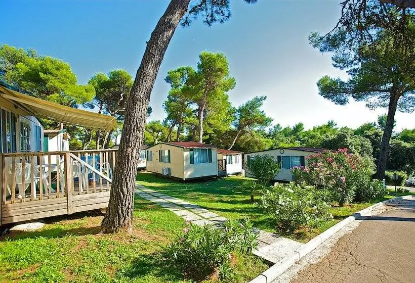 Talo 2 Makuuhuonetta, Arena Indije Mobile Homes
