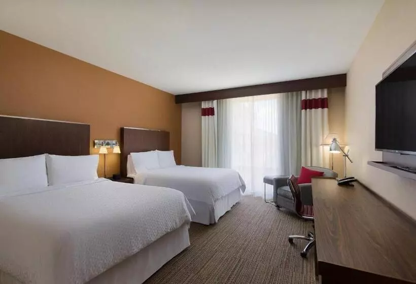 Standard-invahuone, Four Points By Sheraton Seattle Airport South