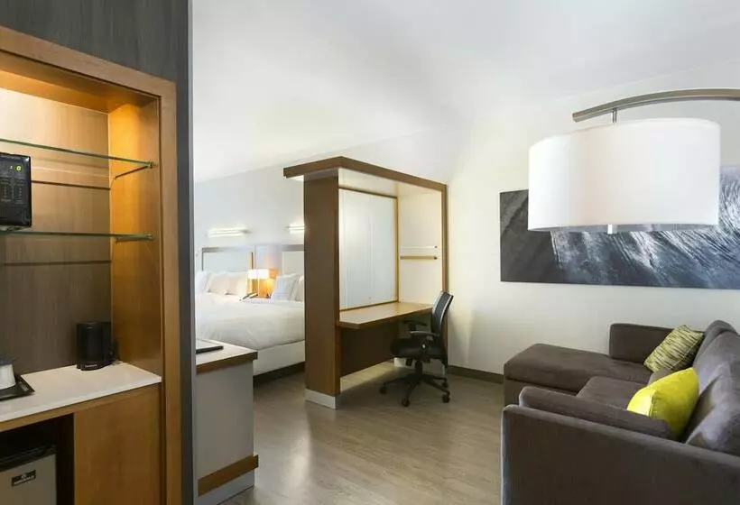 バルコニー付きスタンダードステューディオ, Springhill Suites Orange Beach At The Wharf