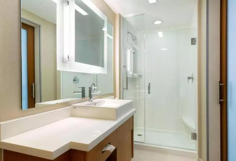 キングサイドベッドのスタンダードワンルーム, Springhill Suites Orange Beach At The Wharf