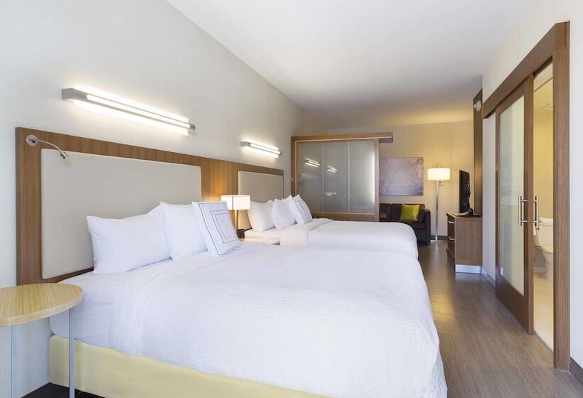 Студио Стандарт с Видом, Springhill Suites Orange Beach At The Wharf
