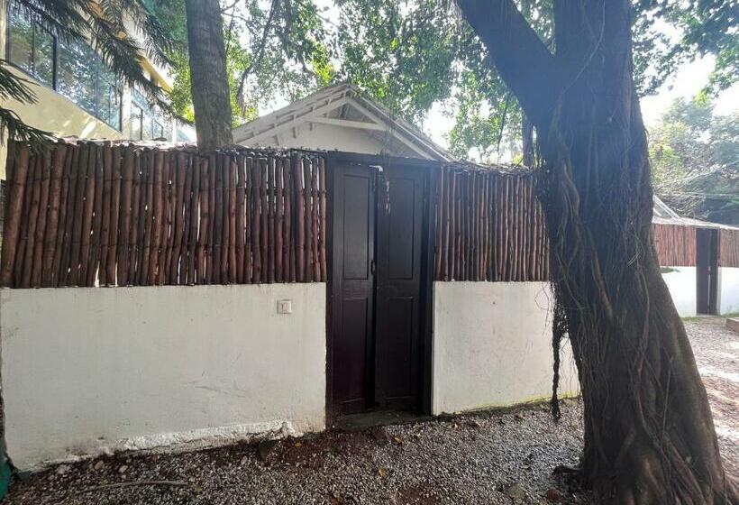 ویلای یک اتاق خوابه با استخر شنا, Calaila Boutique