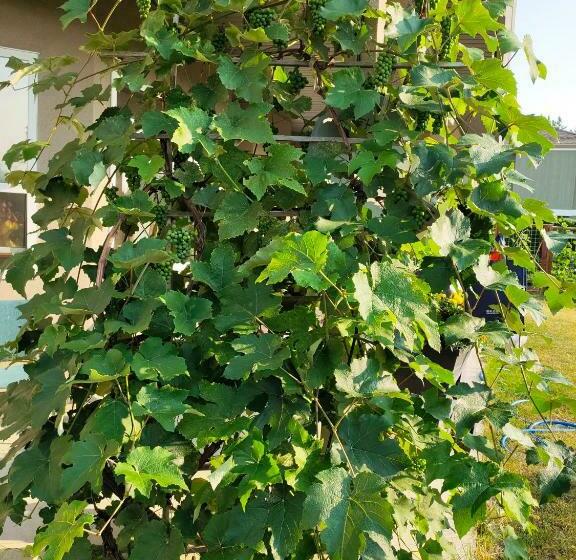 Hus 2 Soveværelser, Greenleaf 2 Bdrm 1bth Suite & Private Entry