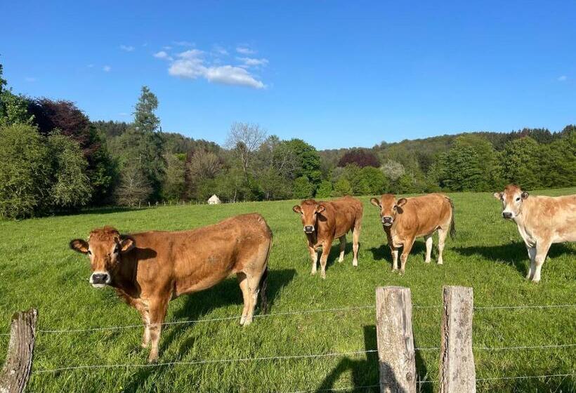 Standard Tent, Grange De Lesse
