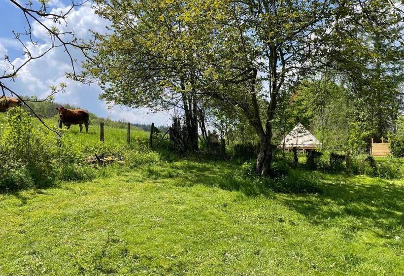 Standard Tent, Grange De Lesse
