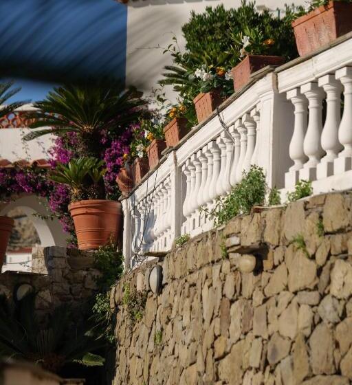 شقة غرفة واحدة, La Maison De La Ville