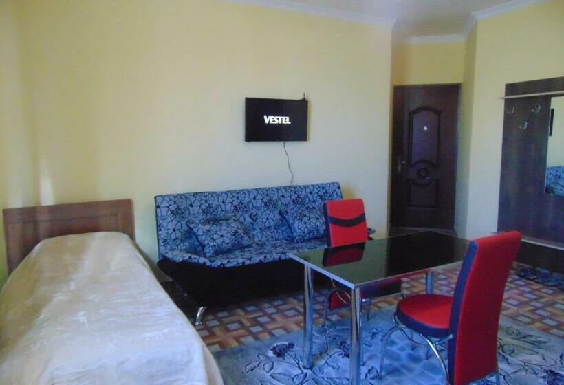 اتاق استاندارد یک نفره, Poti