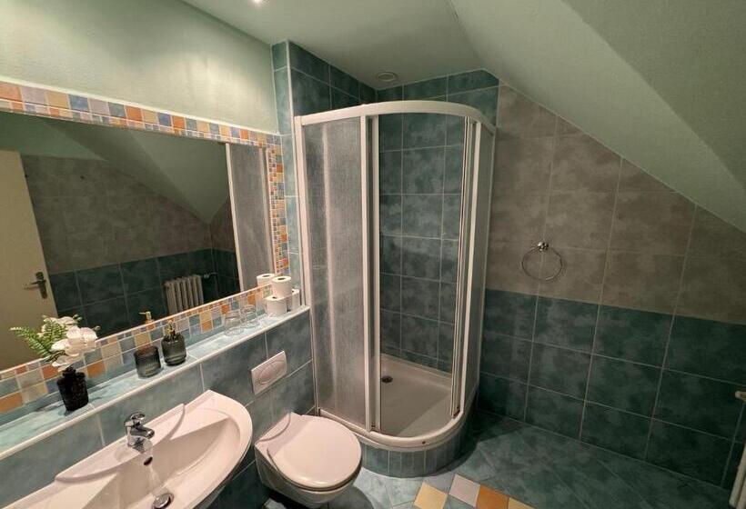 Номер Стандарт, Vládní Vila