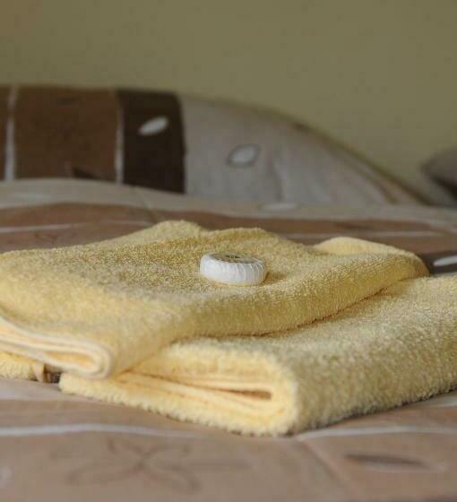 Номер Стандарт, Vládní Vila