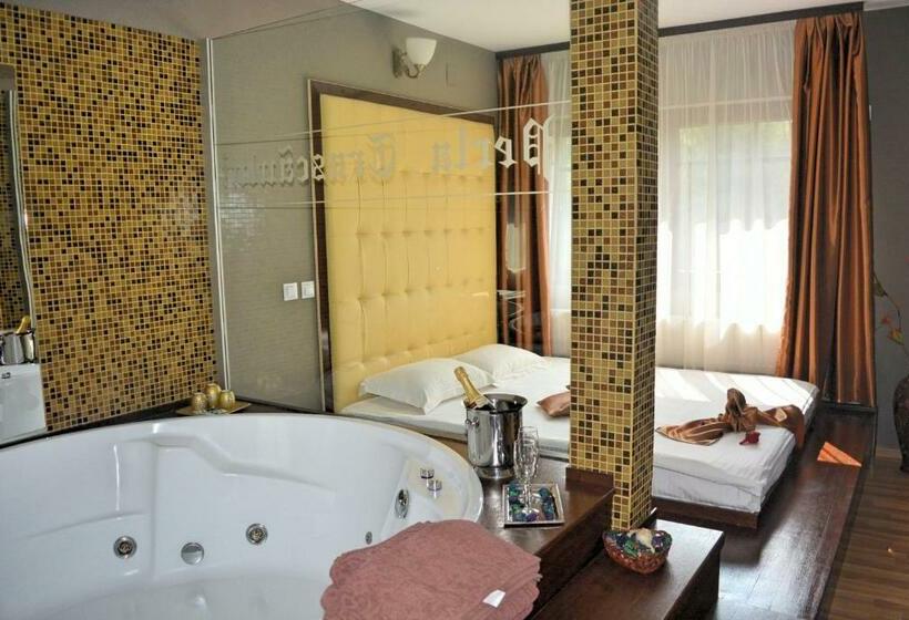 豪华房间带漩涡浴缸, Complex Turistic Perla Trascaului