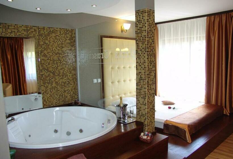 豪华房间带漩涡浴缸, Complex Turistic Perla Trascaului