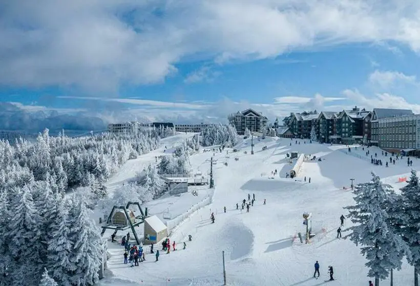 １ベッドルームアパートメント, Allegheny Spg   Cozy Condo Ski From Our Patio