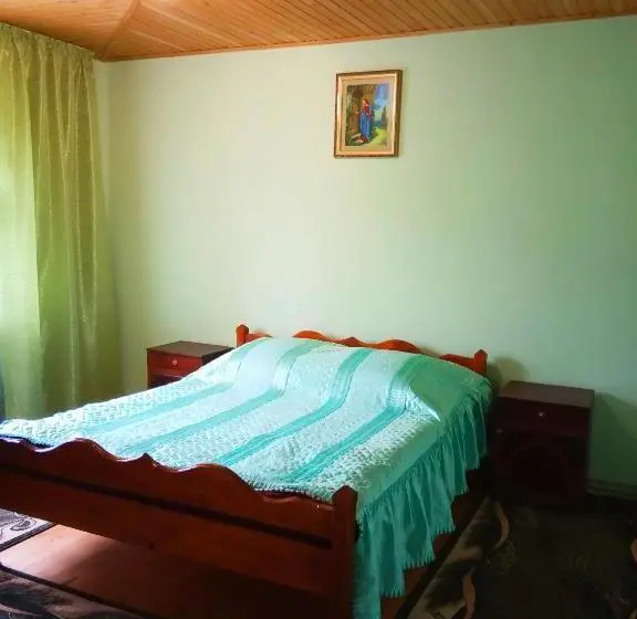 Economy-huone, Vodograi